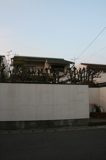 060.jpg